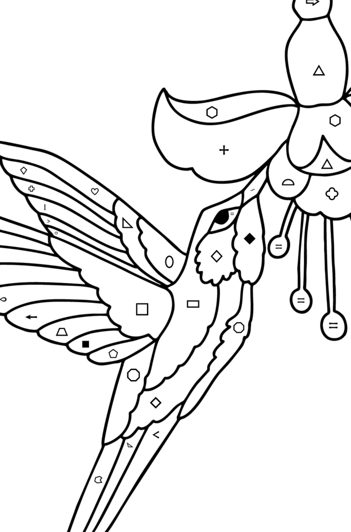 Kolibri dzsungel kifestő - Színezés szimbólumokkal és geometriai alakzatokkal gyerekeknek