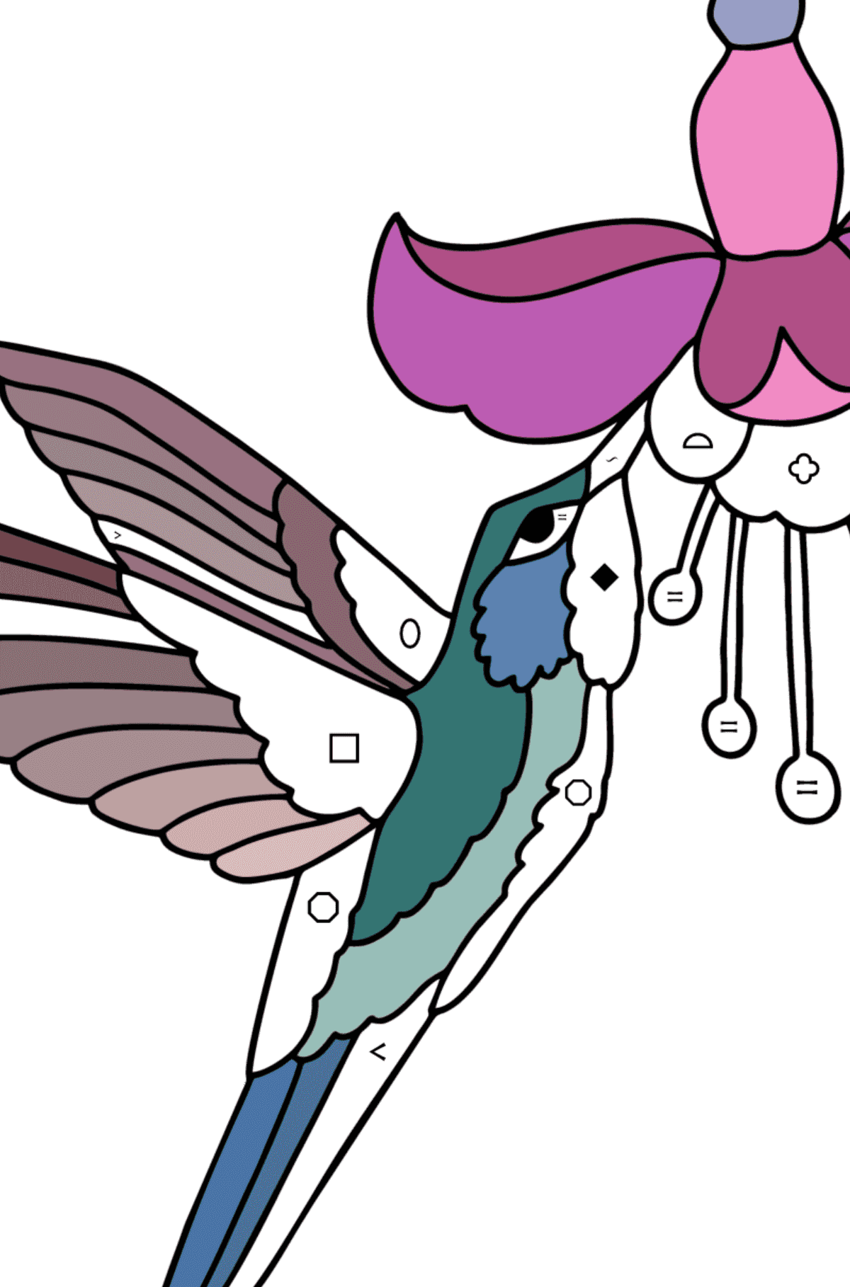 Kolorowanka Koliber dżungla - Kolorowanie według symboli i figur geometrycznych dla dzieci
