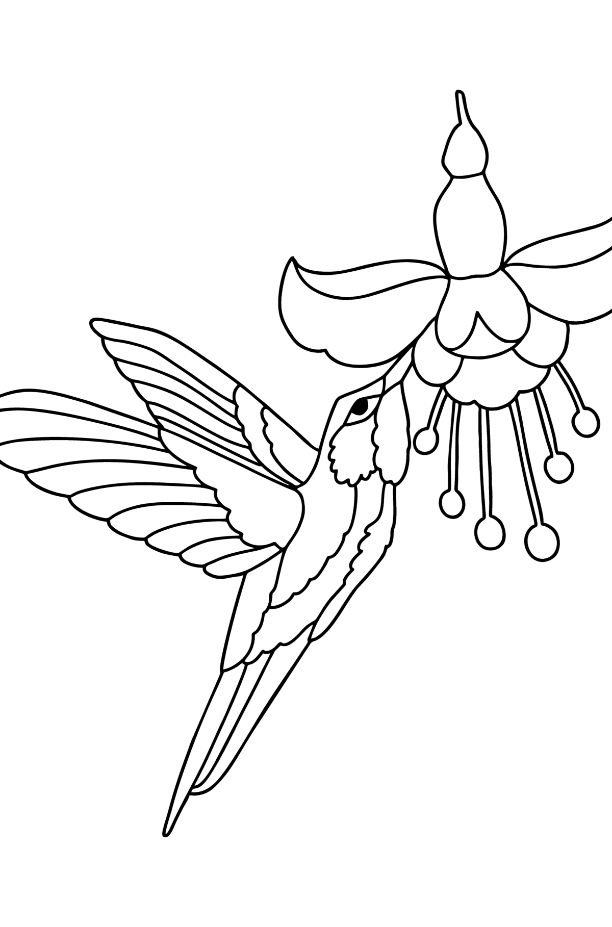 Tegning til fargelegging Hummingbird Jungle - Tegninger til fargelegging for barn