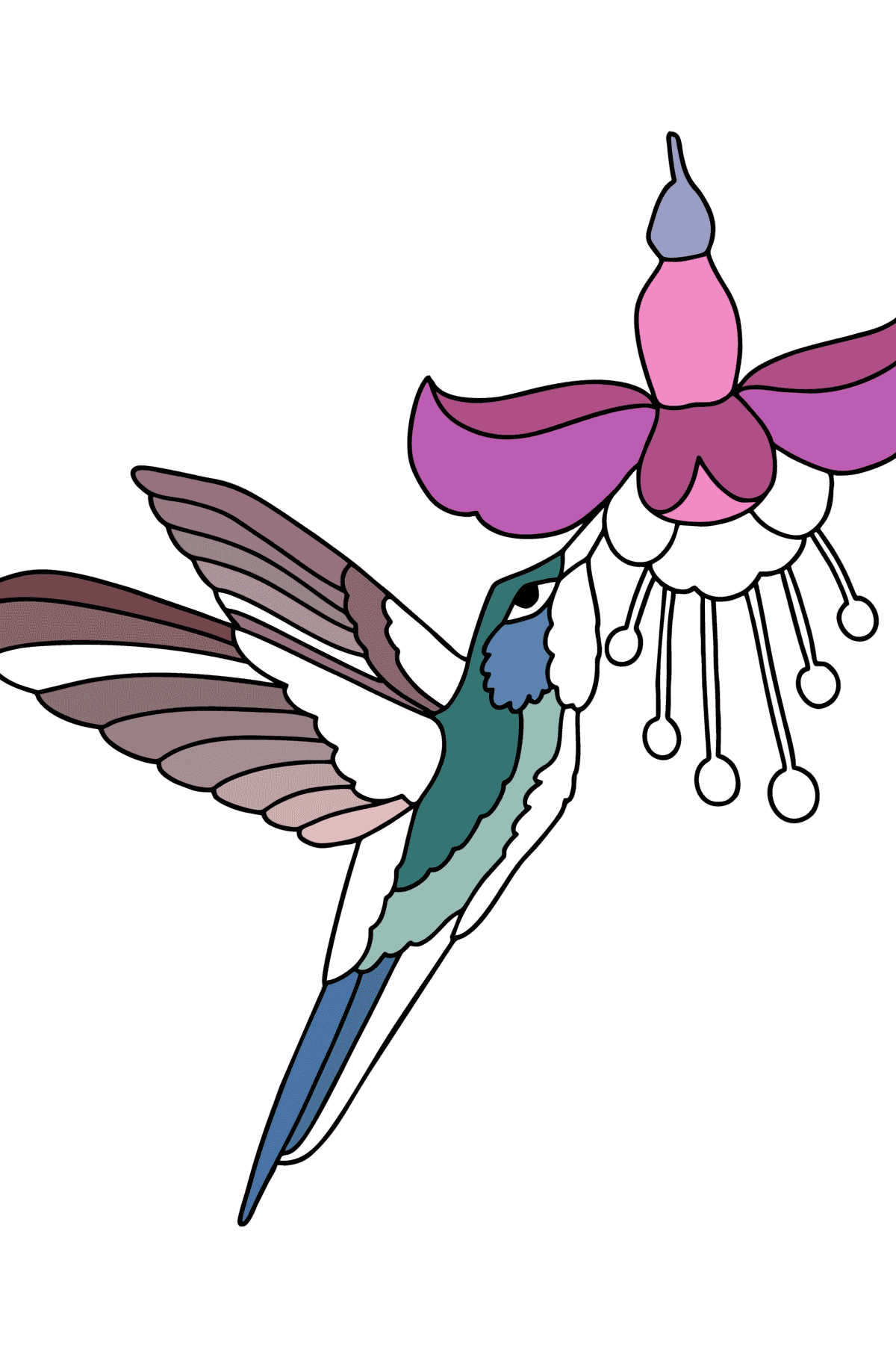 Disegno da colorare Giungla di colibrì - Disegni da colorare per bambini