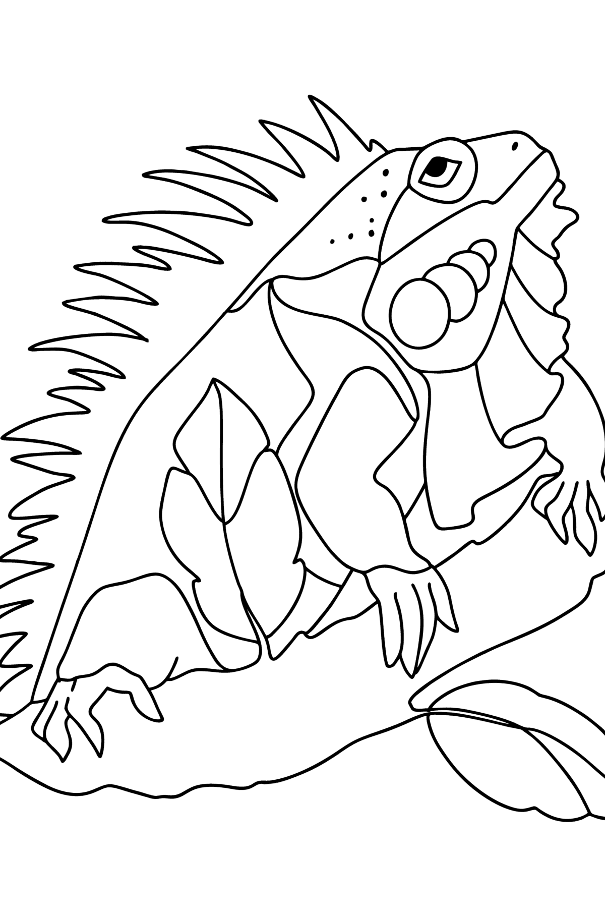 Tegning til fargelegging Iguana i ørkenen - Tegninger til fargelegging for barn