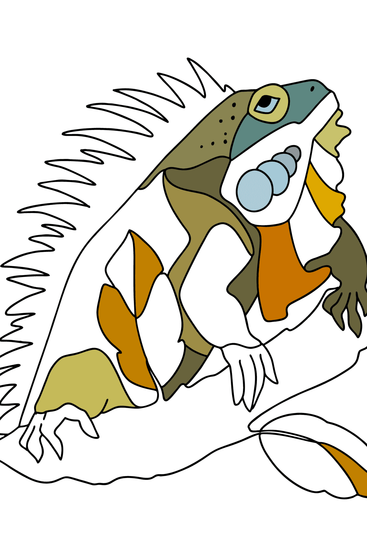 Tegning til farvning Iguana i ørkenen - Tegninger til farvelægning for børn