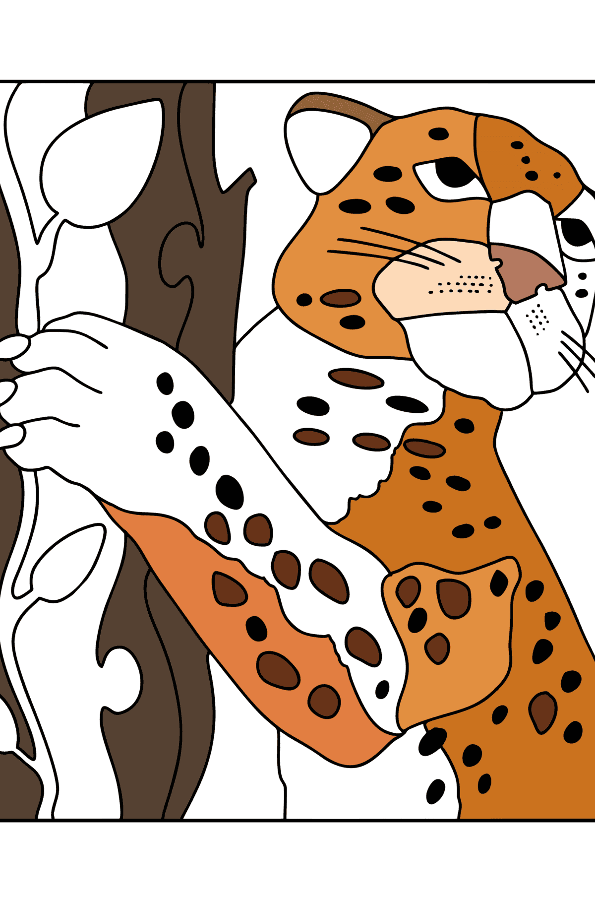 Dibujo Selva jaguar para colorear - Dibujos para Colorear para Niños