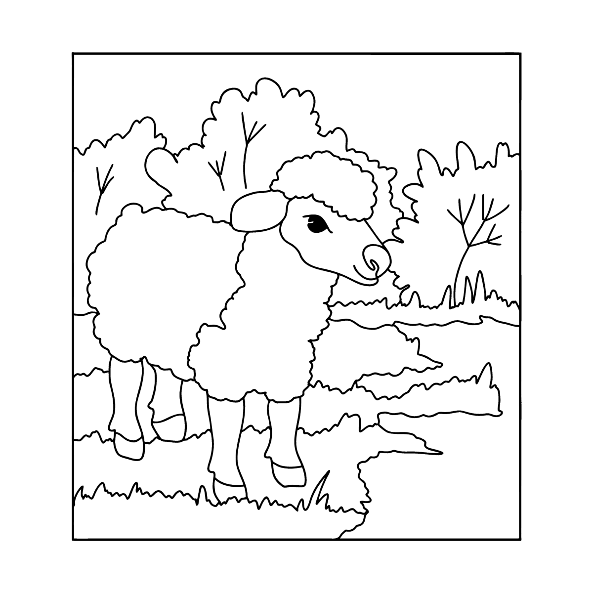 Раскраски Овцы