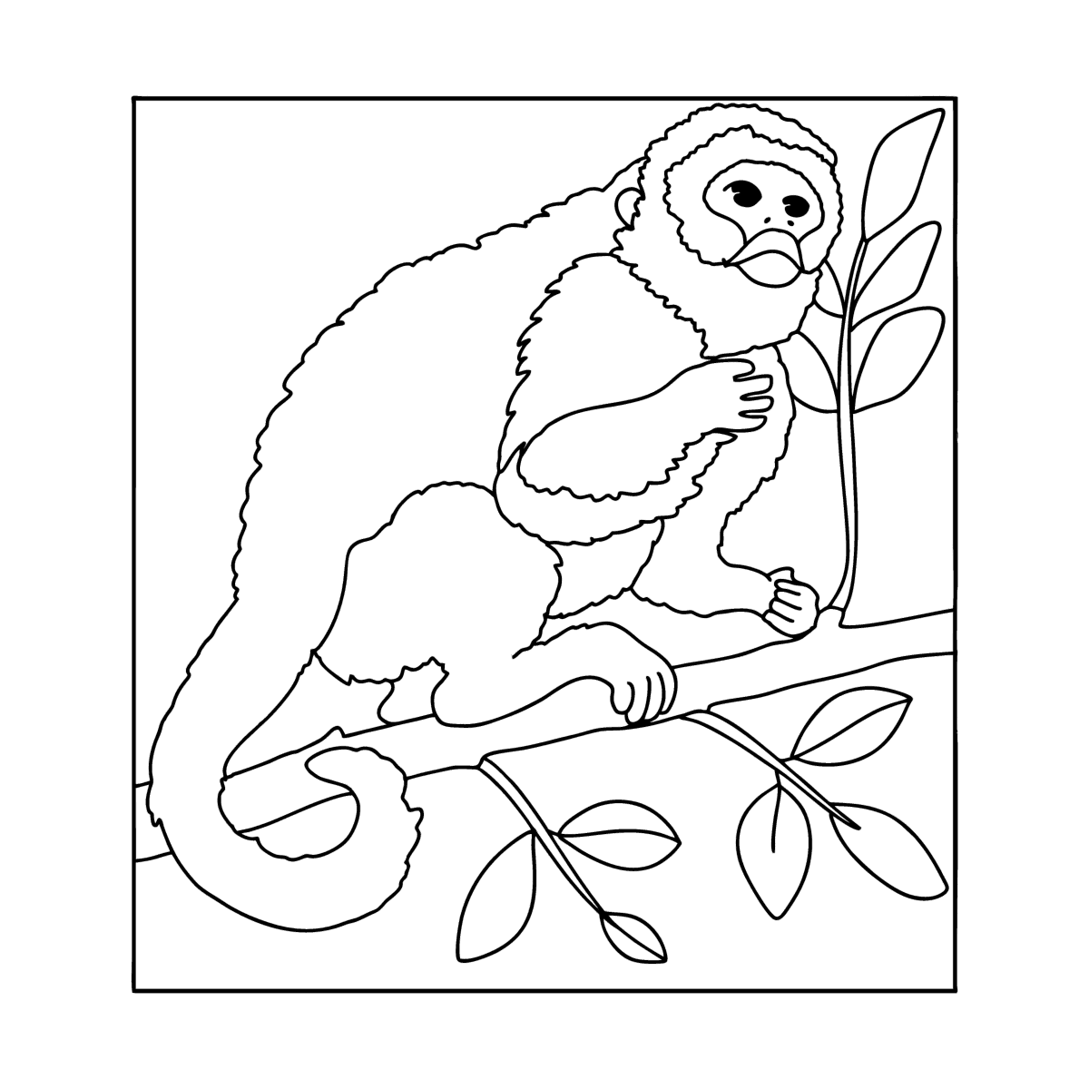 Desenho para colorir de macaco em uma árvore com um chapéu