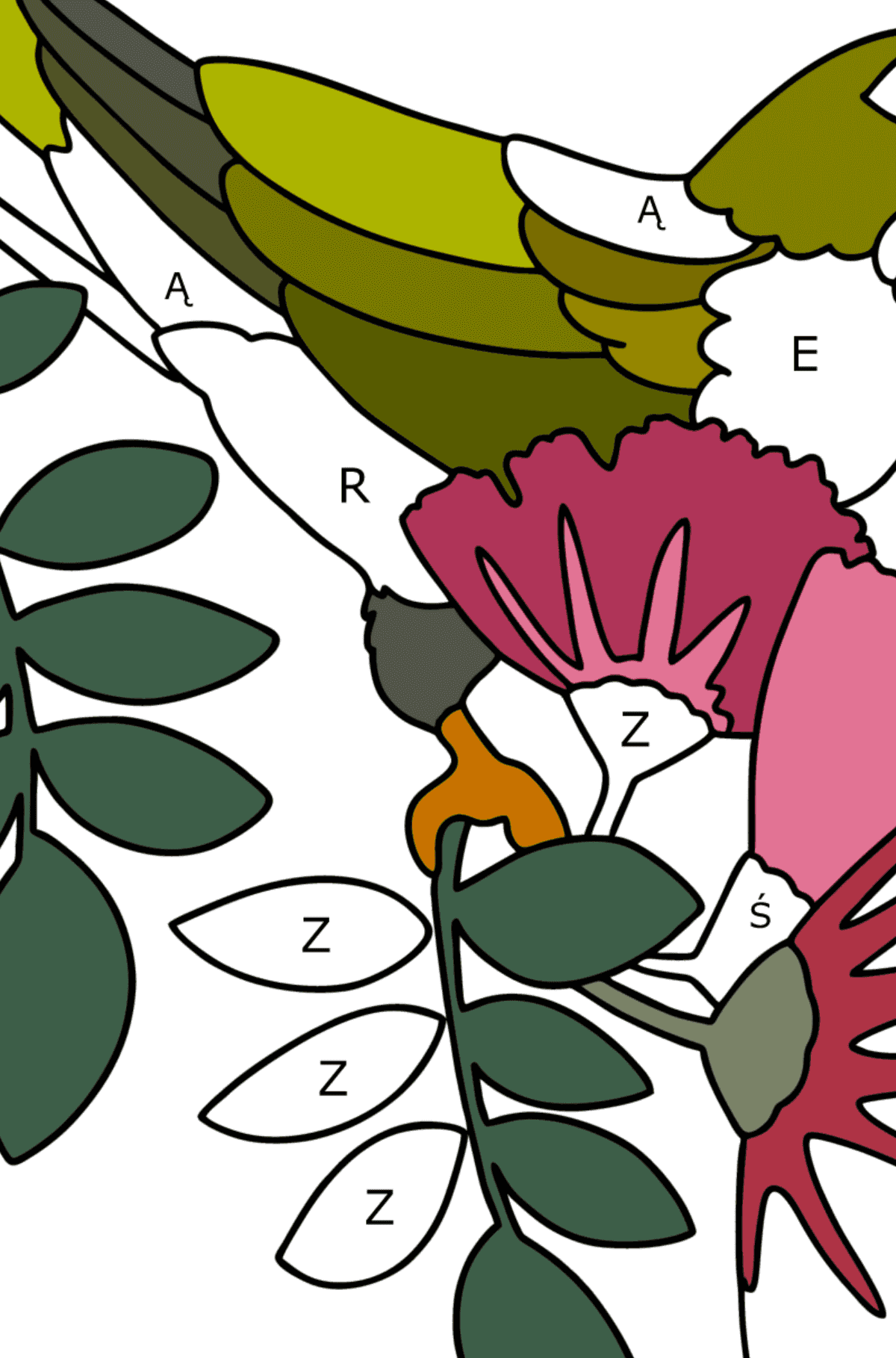Kolorowanka Papuga Dżungla - Kolorowanki wedlug liter dla dzieci