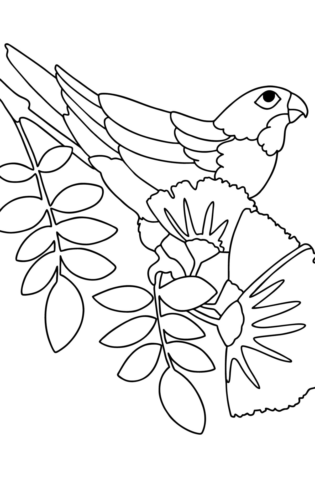 Tegning til fargelegging Papegøyejungel - Tegninger til fargelegging for barn