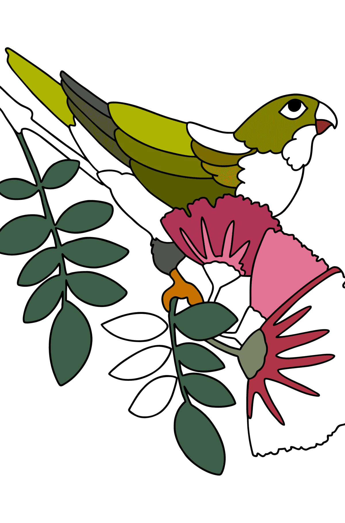 Papageien-Dschungel ausmalbild - Malvorlagen für Kinder