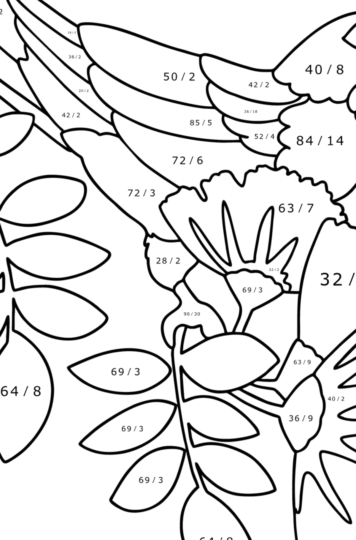 Mewarnai gambar Hutan burung beo - Pewarnaan Matematika: Pembagian untuk anak-anak