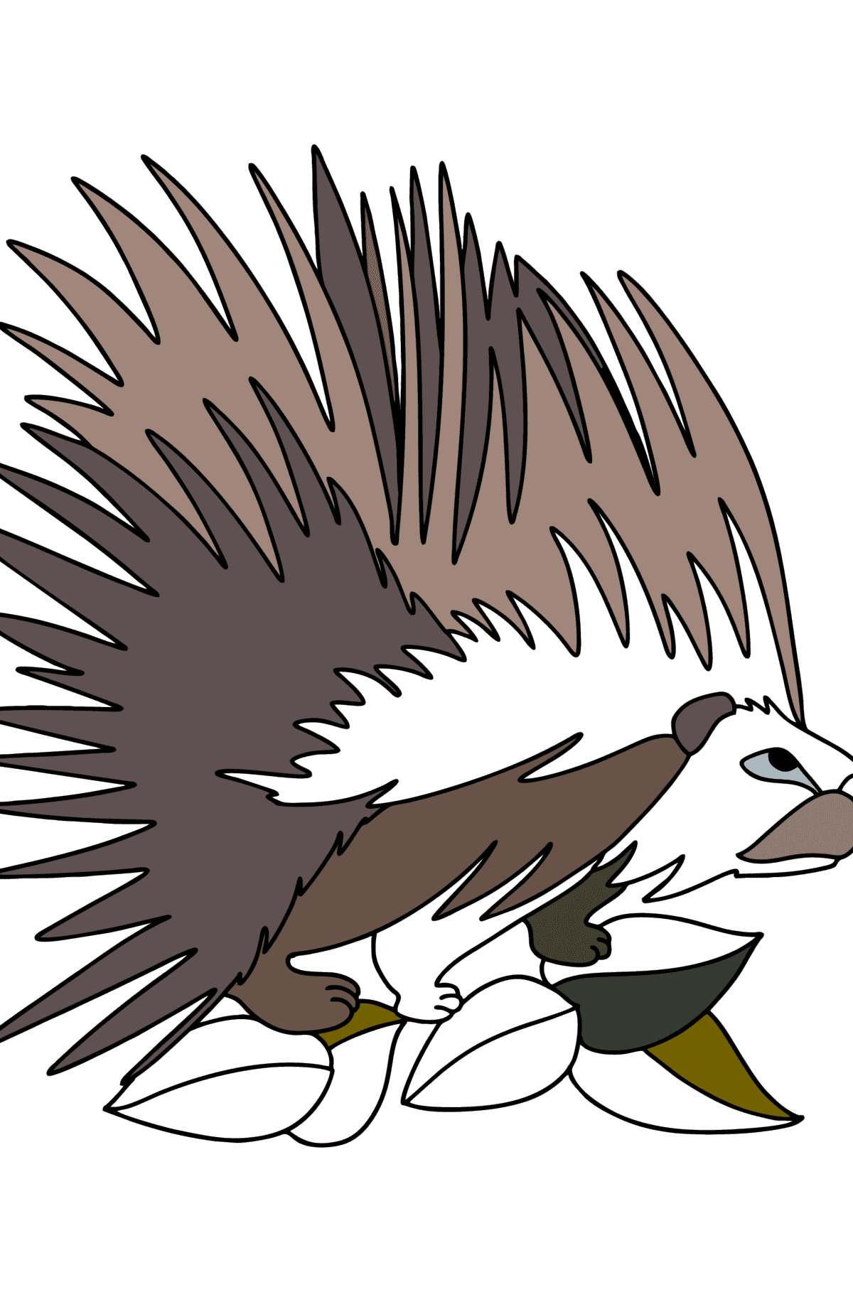 Desenho Selva do porco-espinho para colorir - Desenhos para Colorir para Crianças
