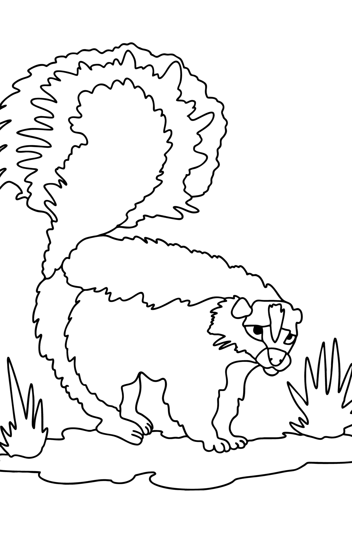 Tegning til fargelegging Skunk i ørkenen - Tegninger til fargelegging for barn