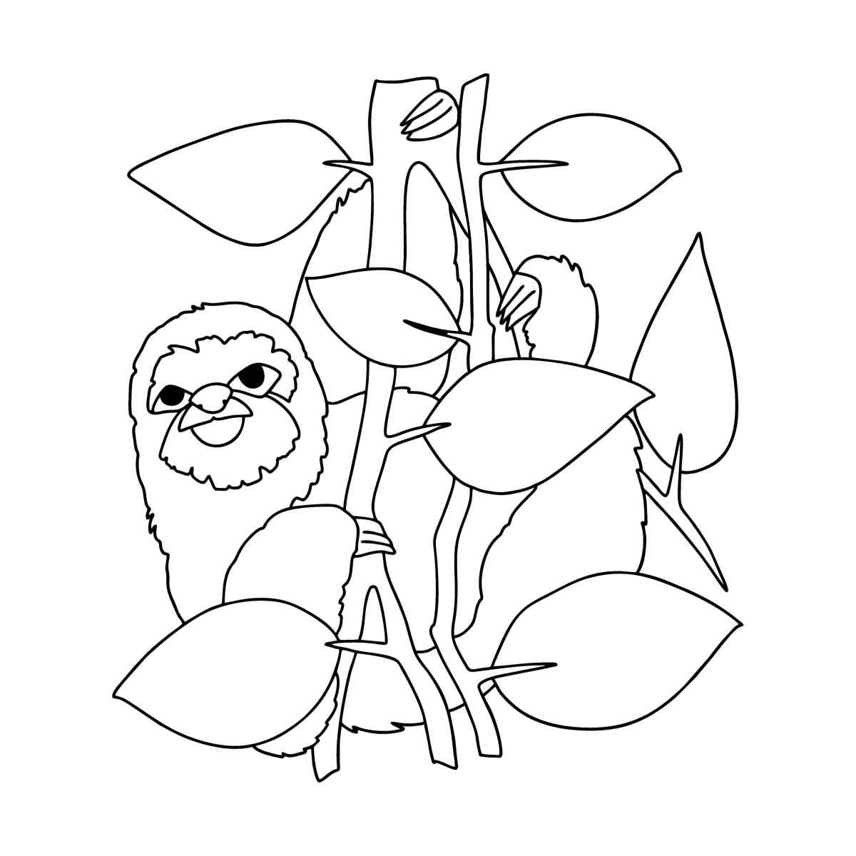 Kolorowanka Leniwiec Dżungla | Coloring-for-Kids.com