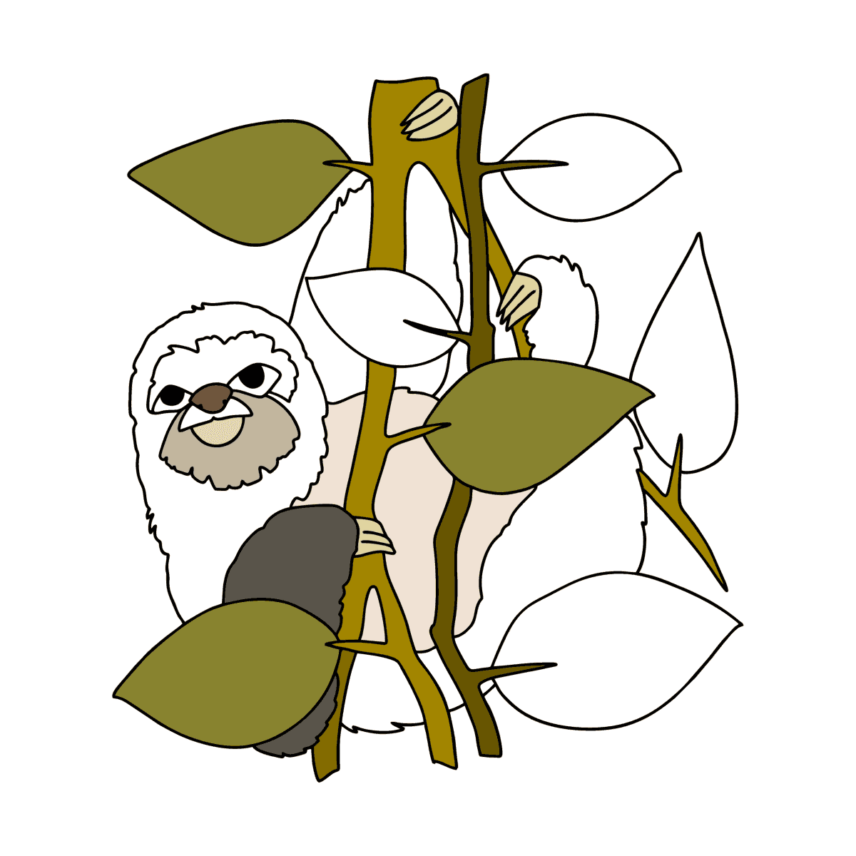 Kolorowanka Leniwiec Dżungla | Coloring-for-Kids.com