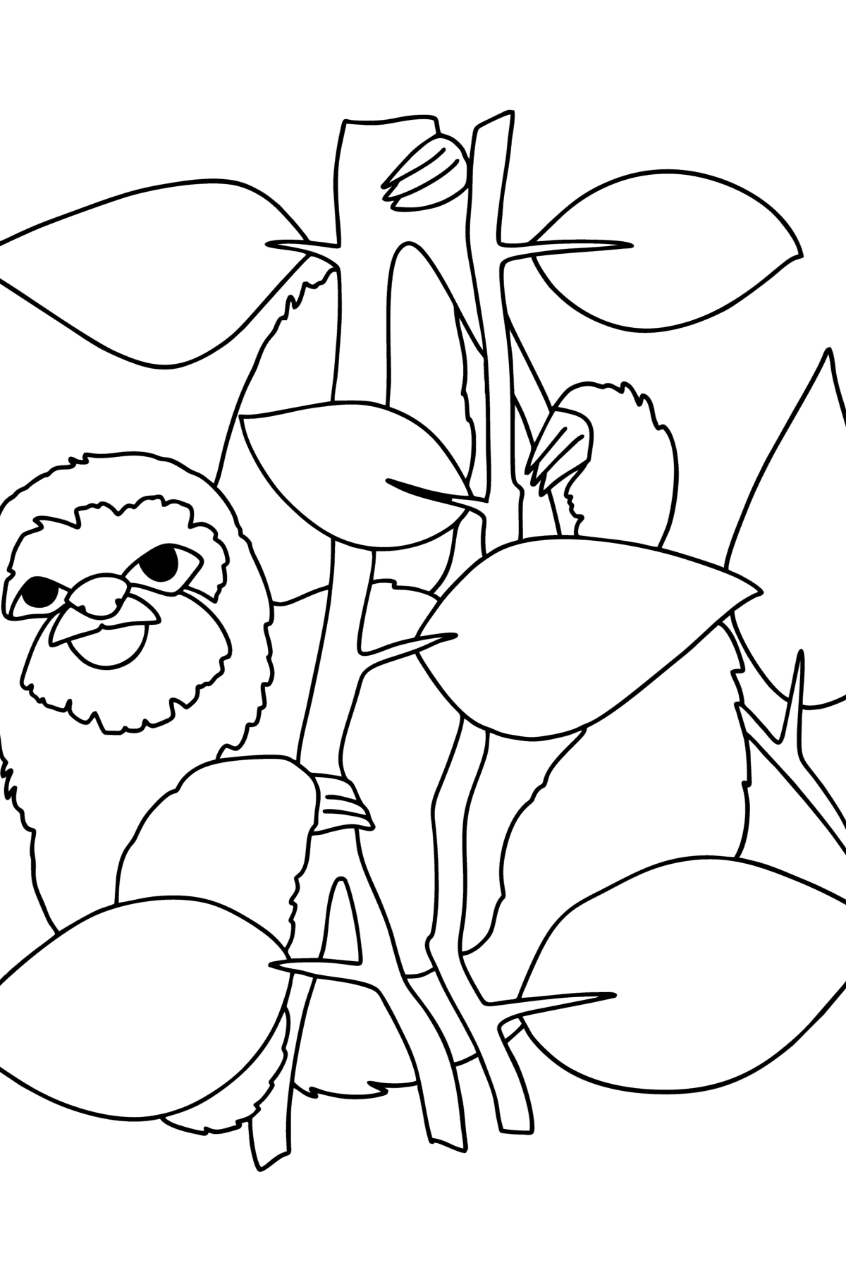Värityskuva Sloth Jungle - Värityskuvat lapsille
