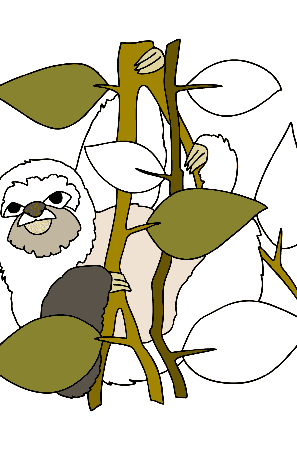 Desenho Selva da Preguiça para colorir - Desenhos para Colorir para Crianças