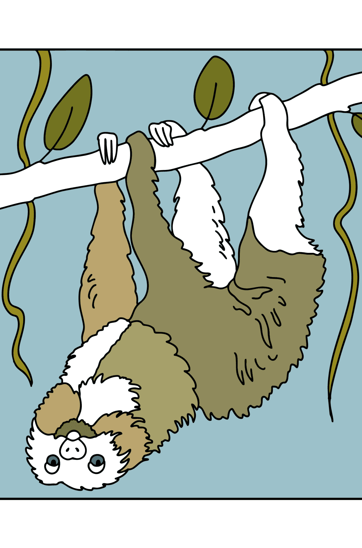 Desenho Preguiça em uma árvore para colorir - Desenhos para Colorir para Crianças