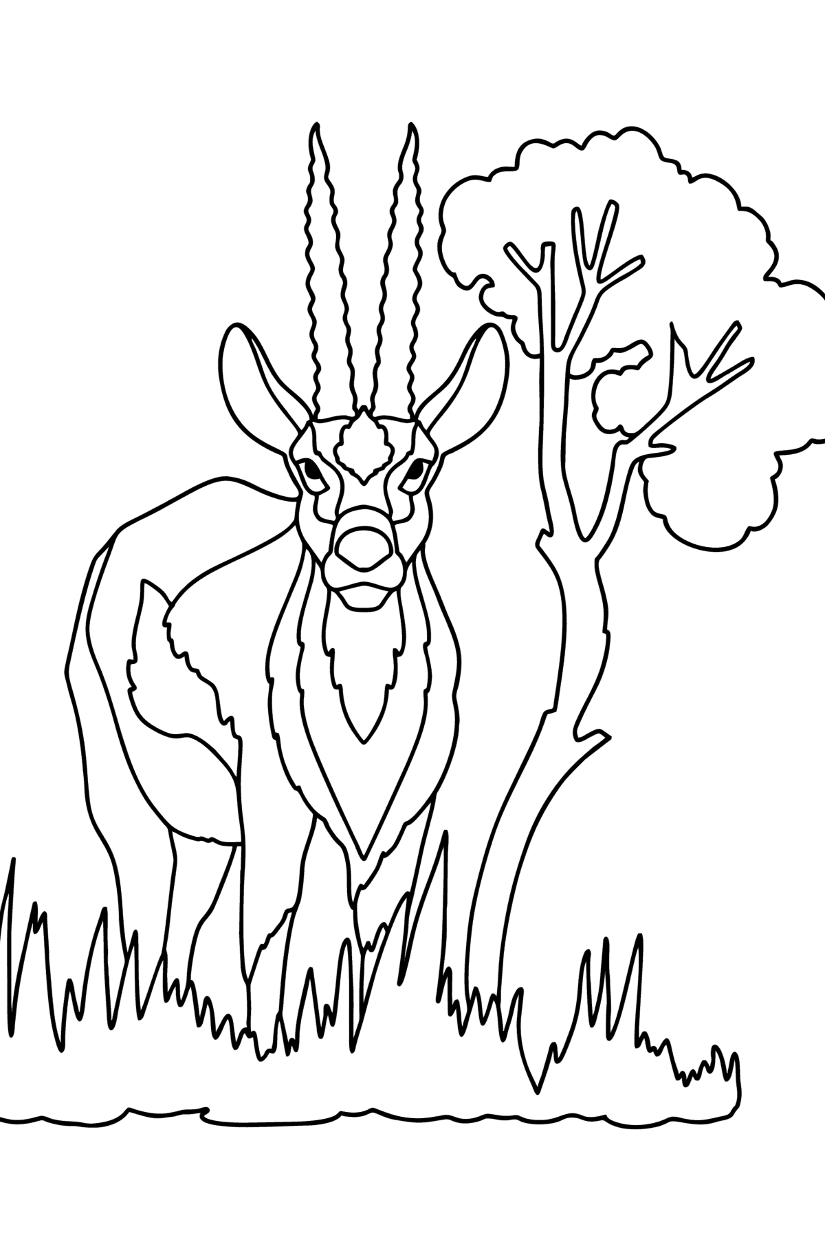Desenho A gazela de Thompson para colorir - Imagens para Colorir para Crianças