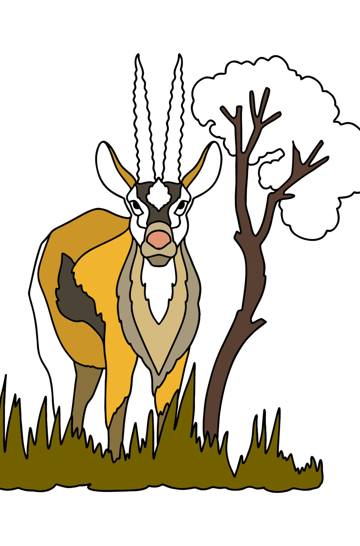 Coloriage Gazelle de Thompson - Coloriages pour les Enfants