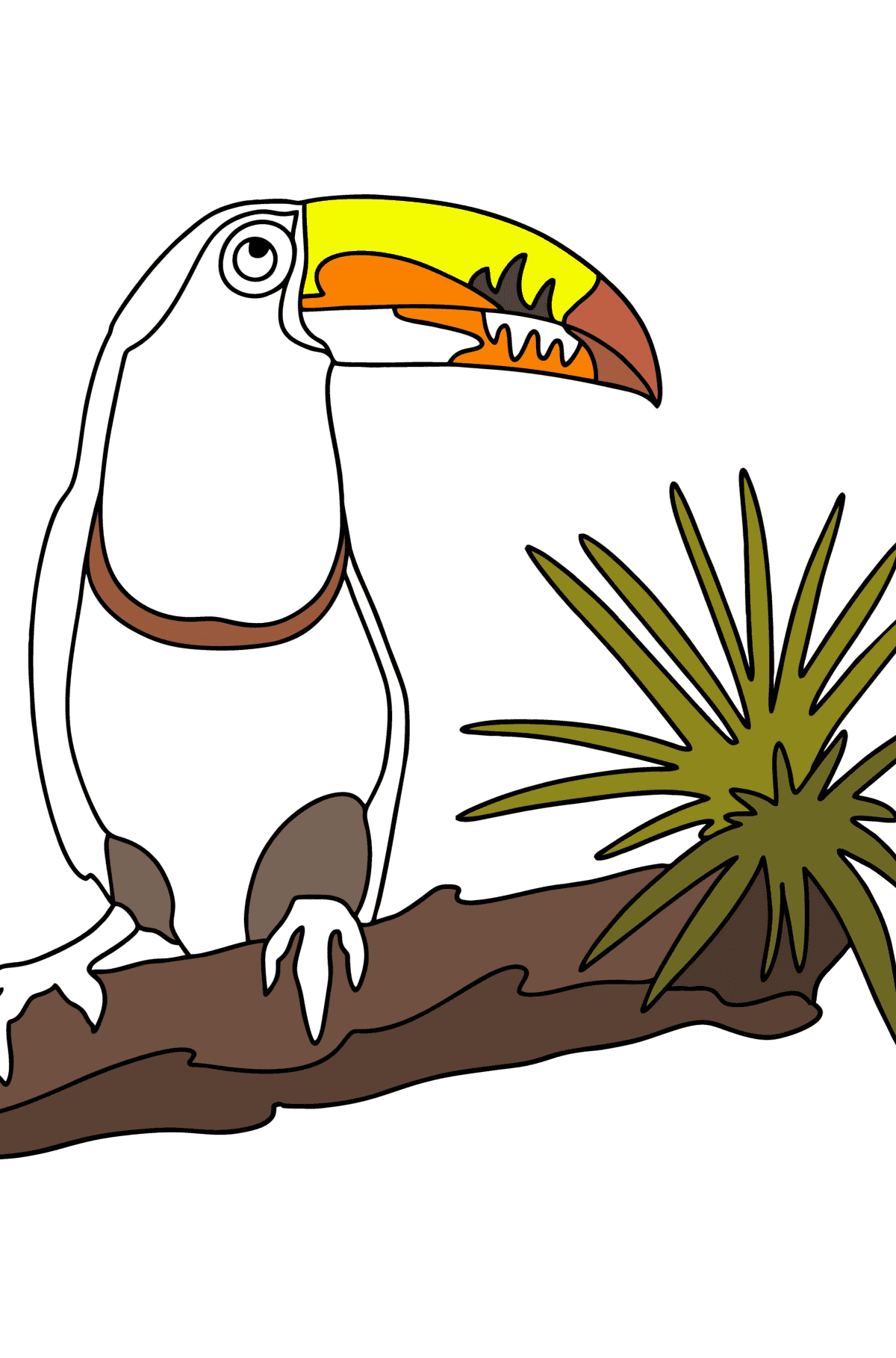 Coloriage Jungle des toucans - Coloriages pour les Enfants