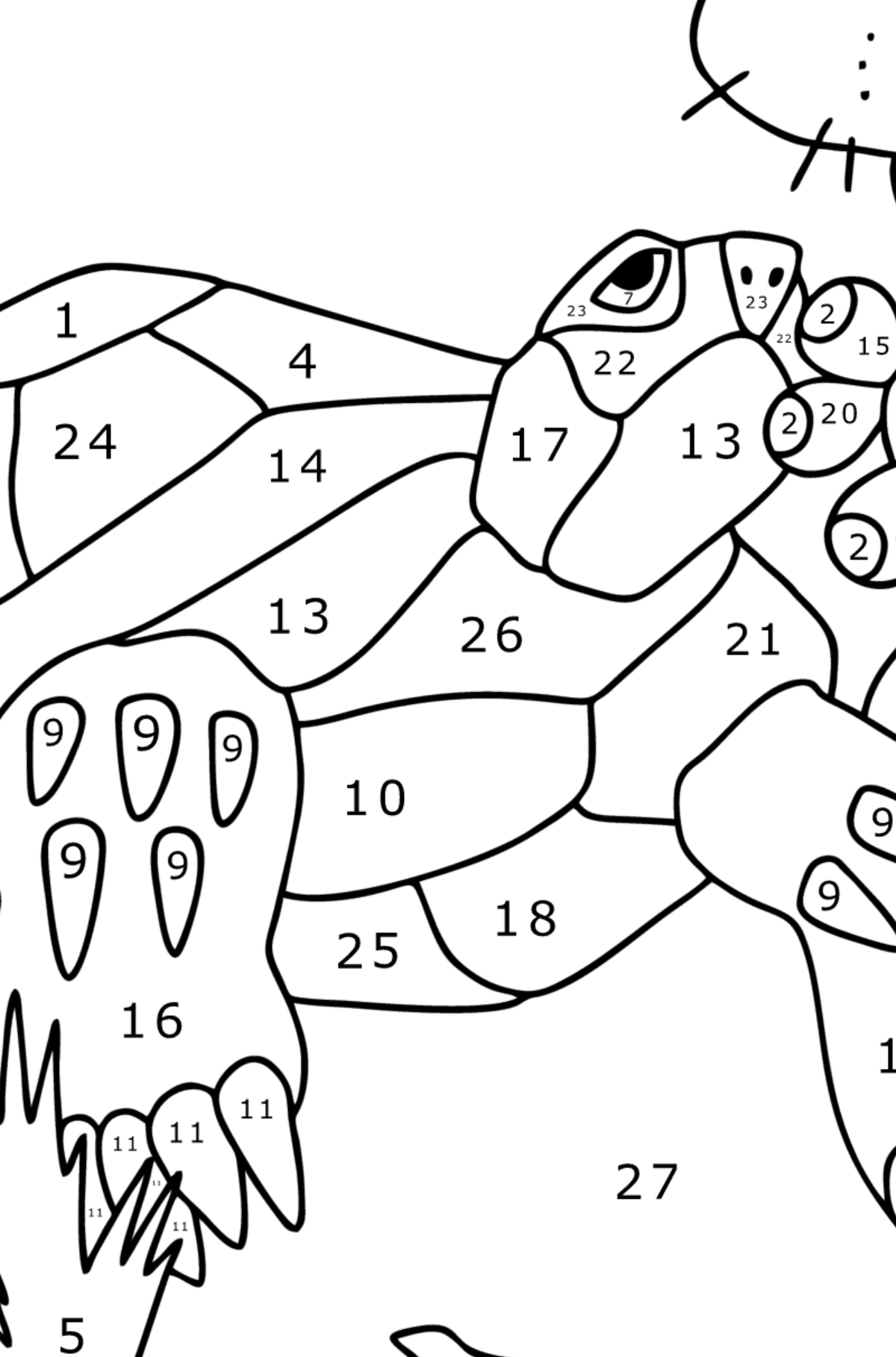 Desen de colorat Țestoasa în deșert - Desen de colorat după Număr pentru copii