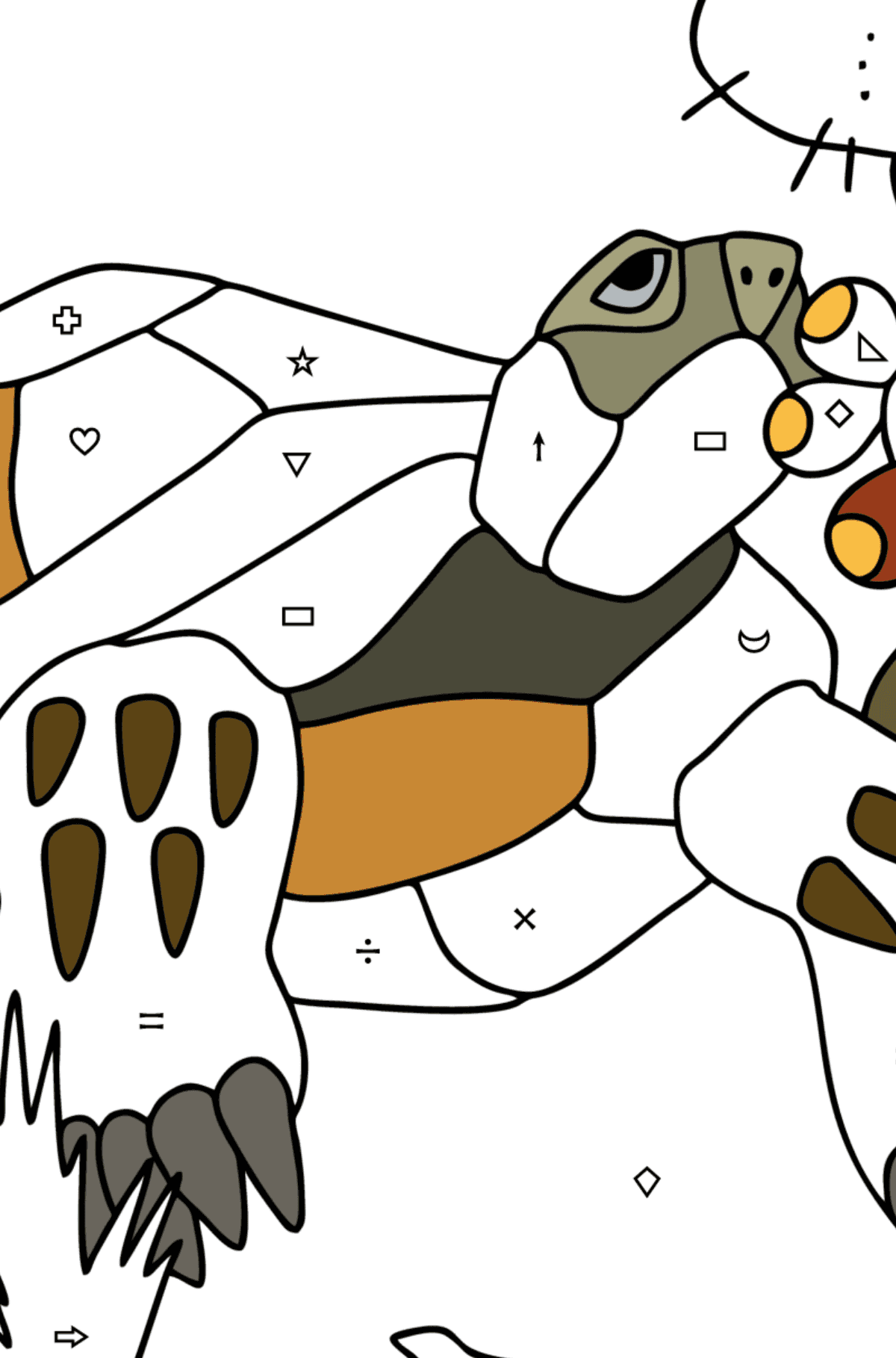 Раскраска Черепаха в Пустыне - Полезная картинка для Детей