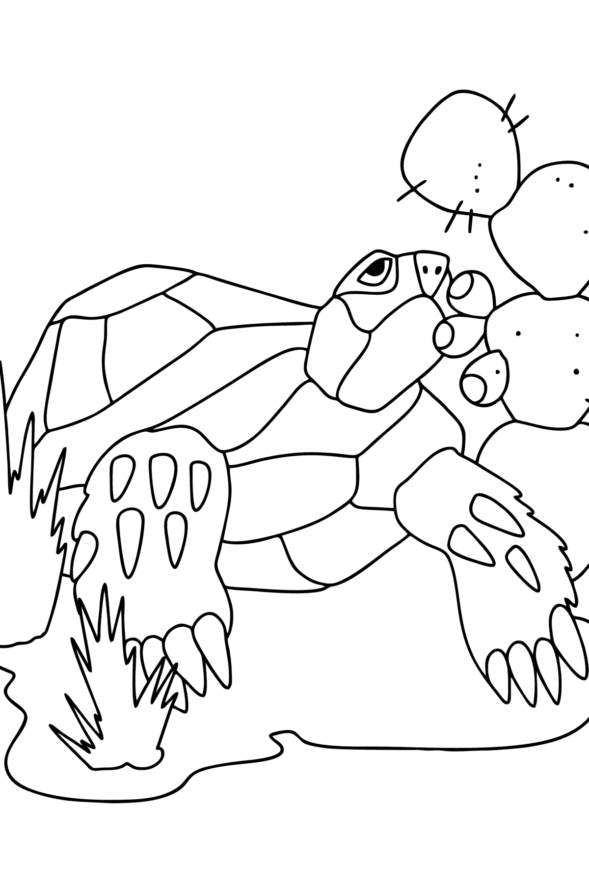 Disegno da colorare Tartaruga nel deserto - Disegni da colorare per bambini