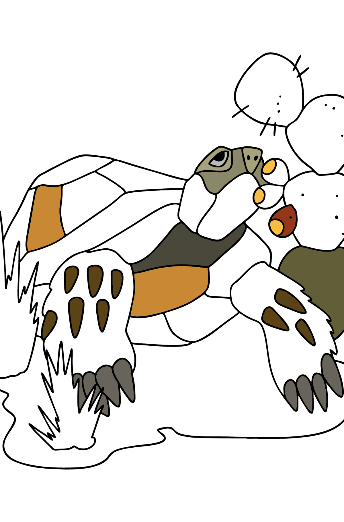 Tegning til farvning Skildpadde i ørkenen - Tegninger til farvelægning for børn