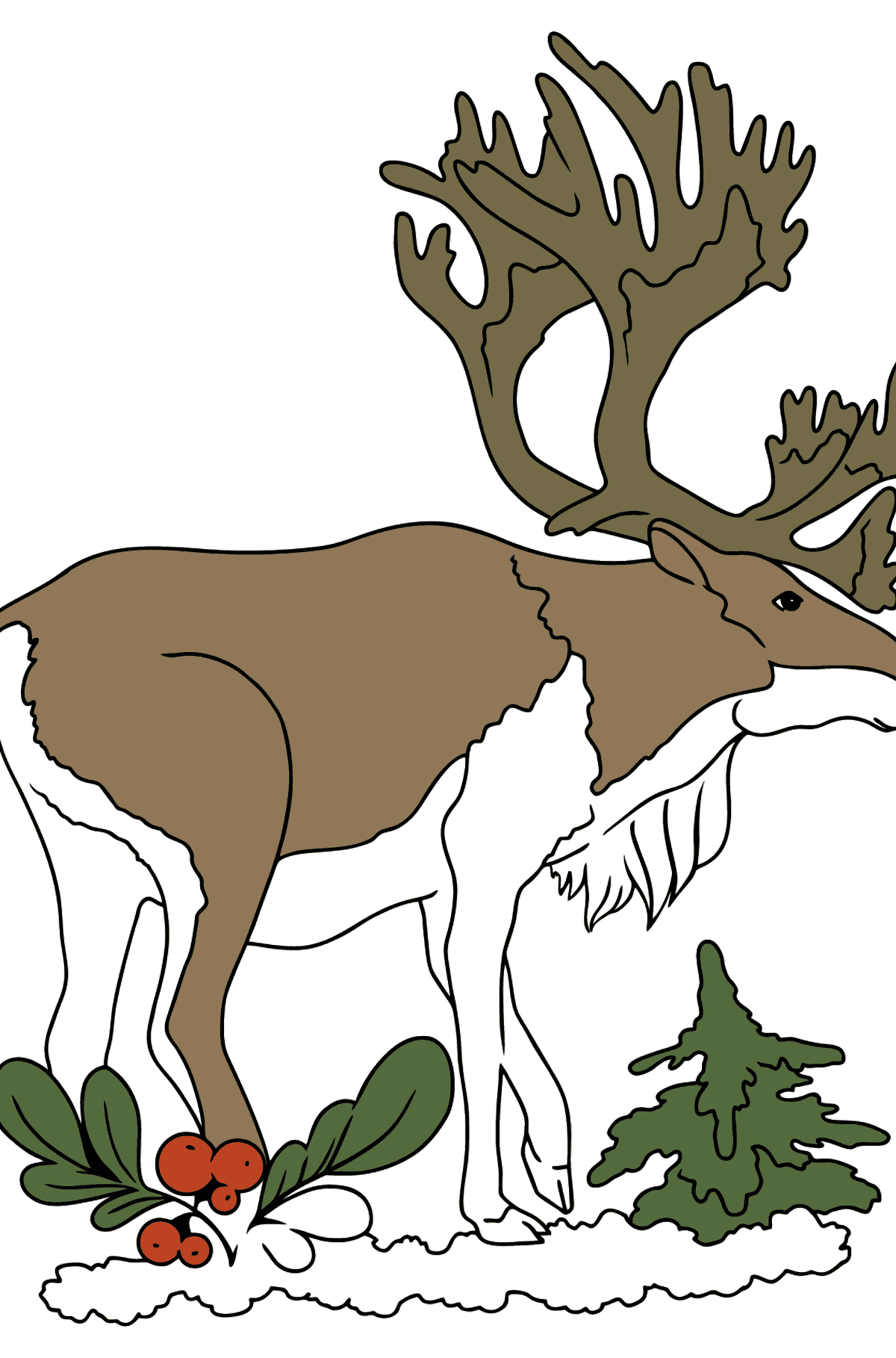 Coloring Page - A Deer with Beautiful Antlers - Coloring Pages for Kids