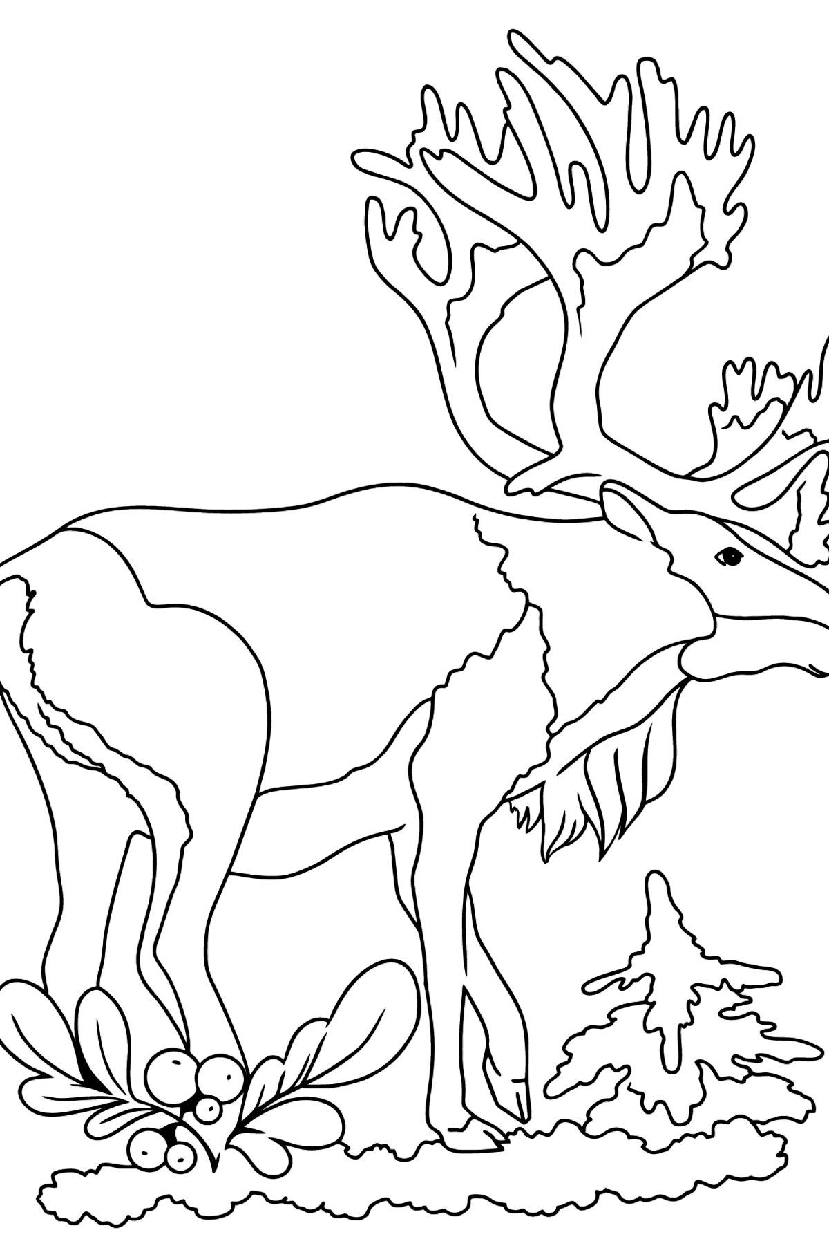 Tegning til fargelegging hjort for barn - Tegninger til fargelegging for barn