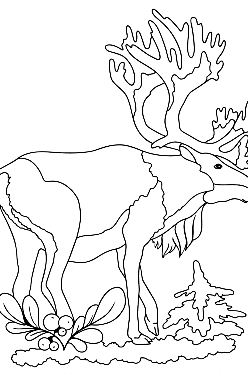 Coloring Page - A Deer - Download and Color Online