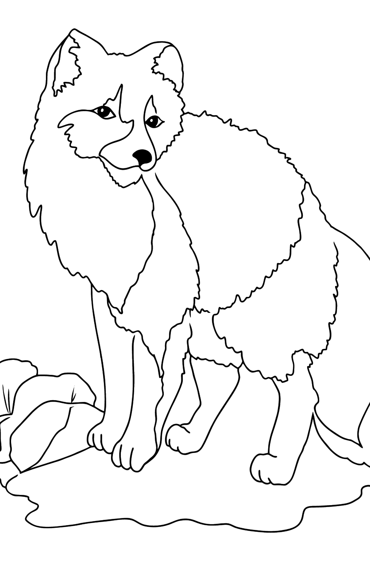 Desenho de  raposa polar para colorir (fácil) - Imagens para Colorir para Crianças