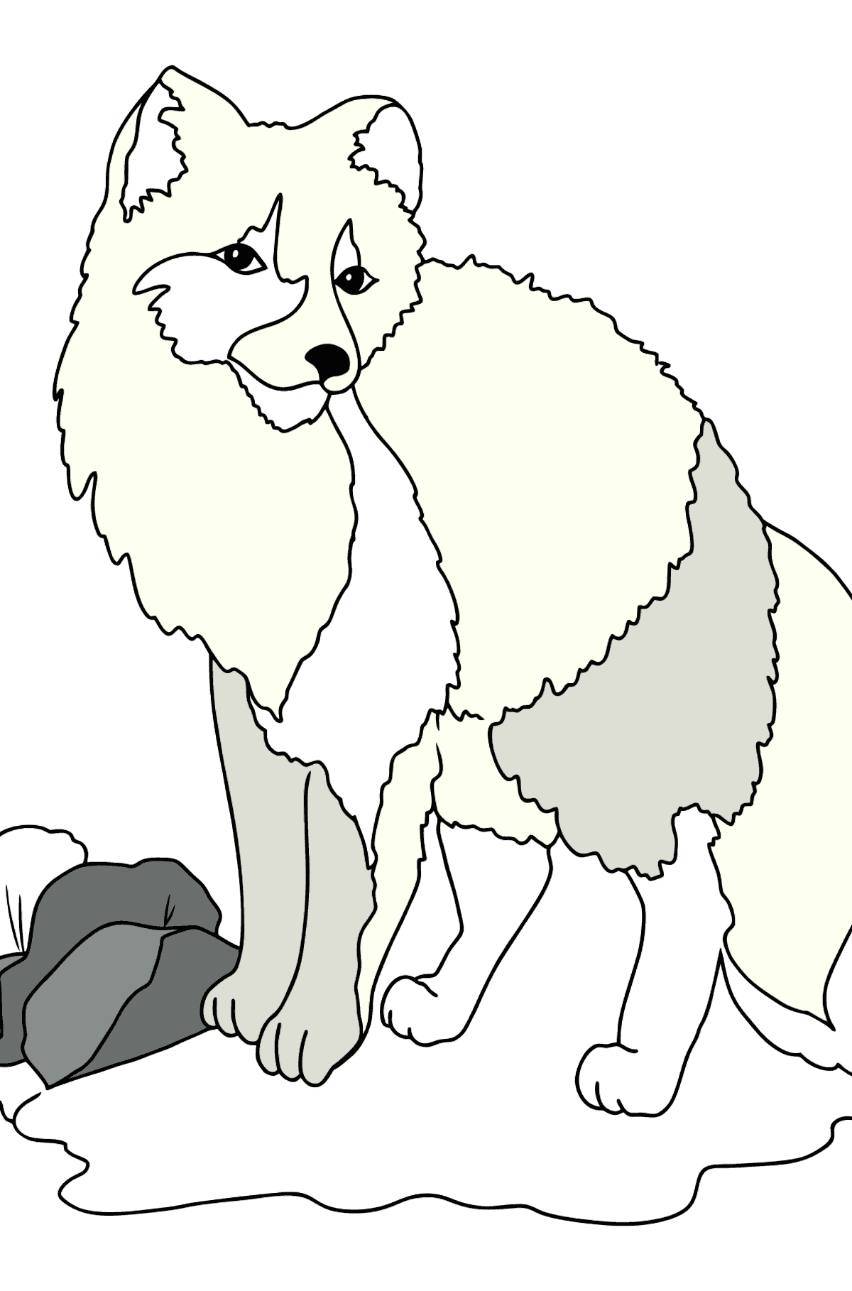 Coloring Page - A Polar or an Arctic Fox - Coloring Pages for Kids