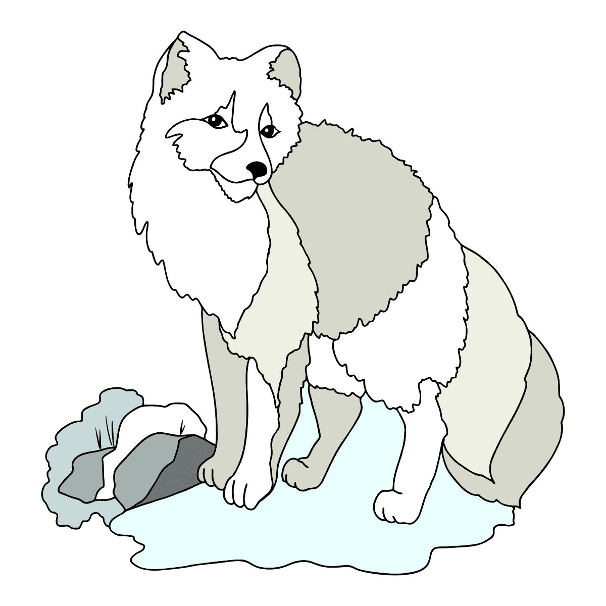 Coloring Page - A White Arctic Fox - Download and Color Online