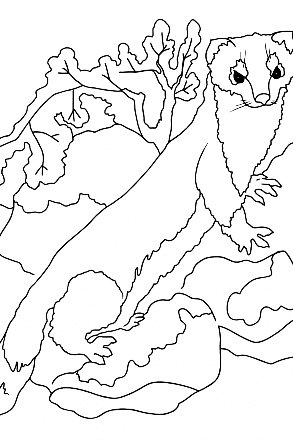 Animals of the North Coloring Pages - Printable for Free & Online!