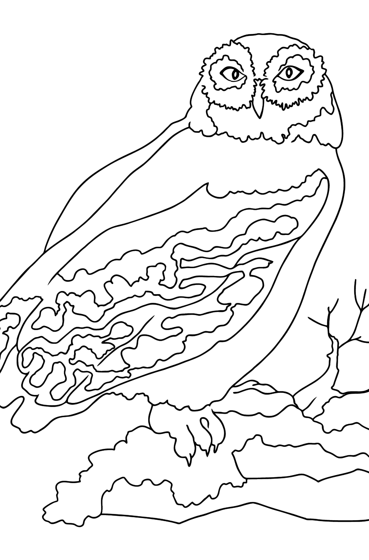 Coloring Page - An Owl - A Nocturnal Predator - Coloring Pages for Kids