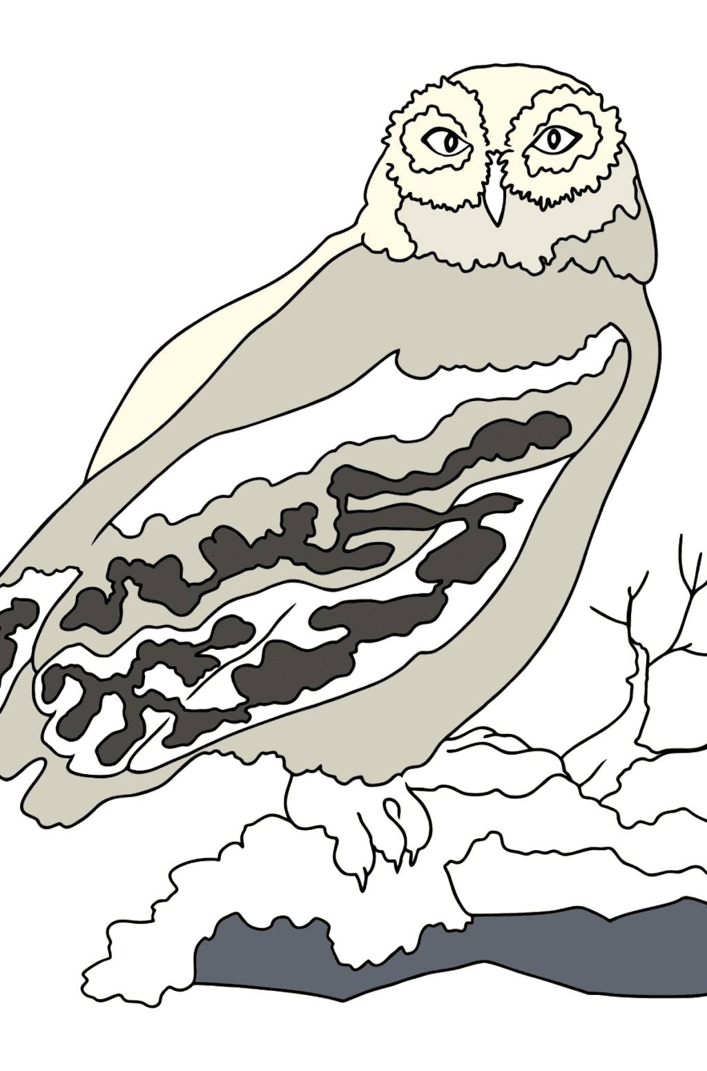 Раскраска Песец (сложно) ♥ Онлайн и Распечатать Бесплатно!