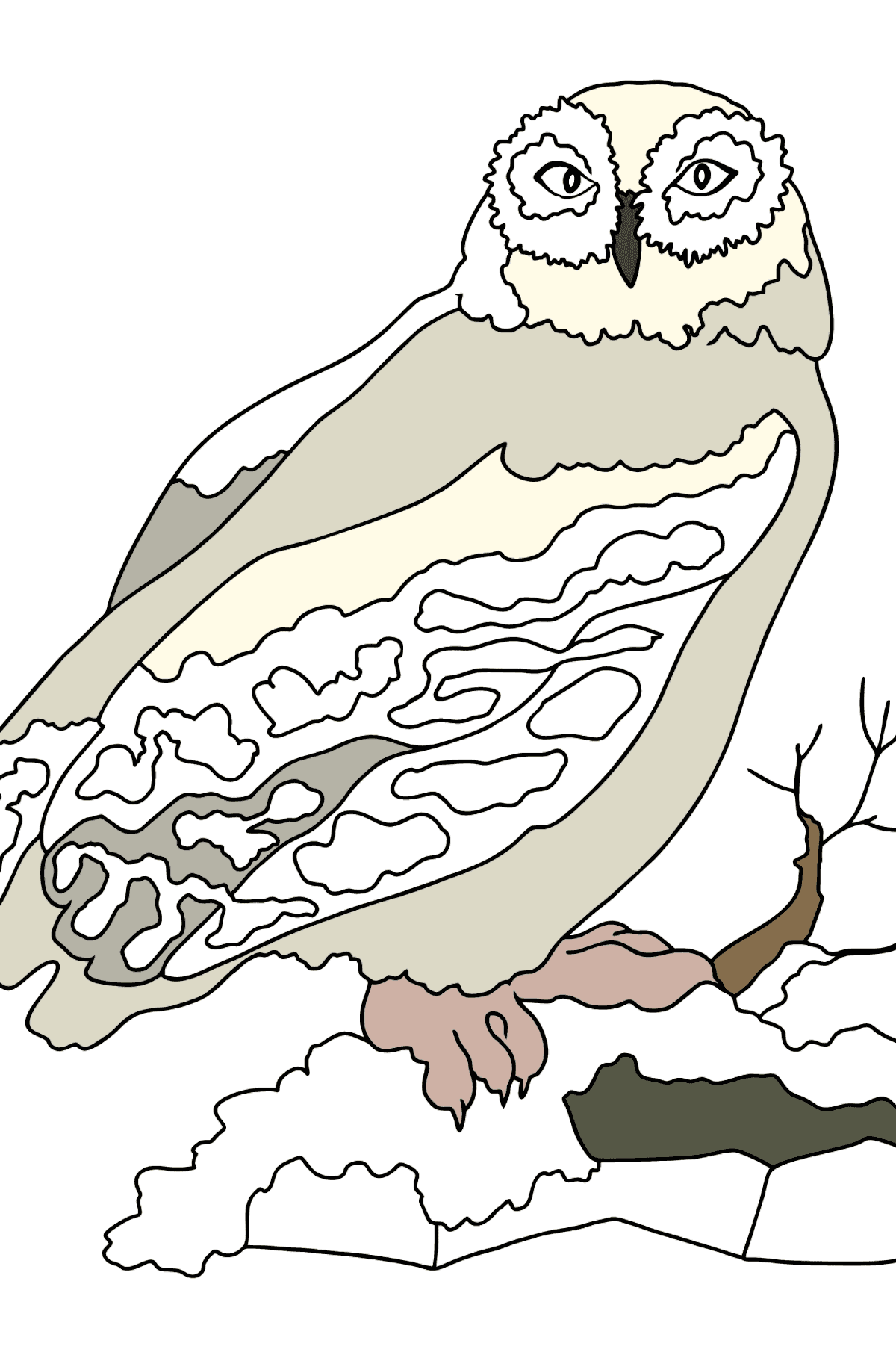 Coloring Page - An Owl on a Hunt - Coloring Pages for Kids