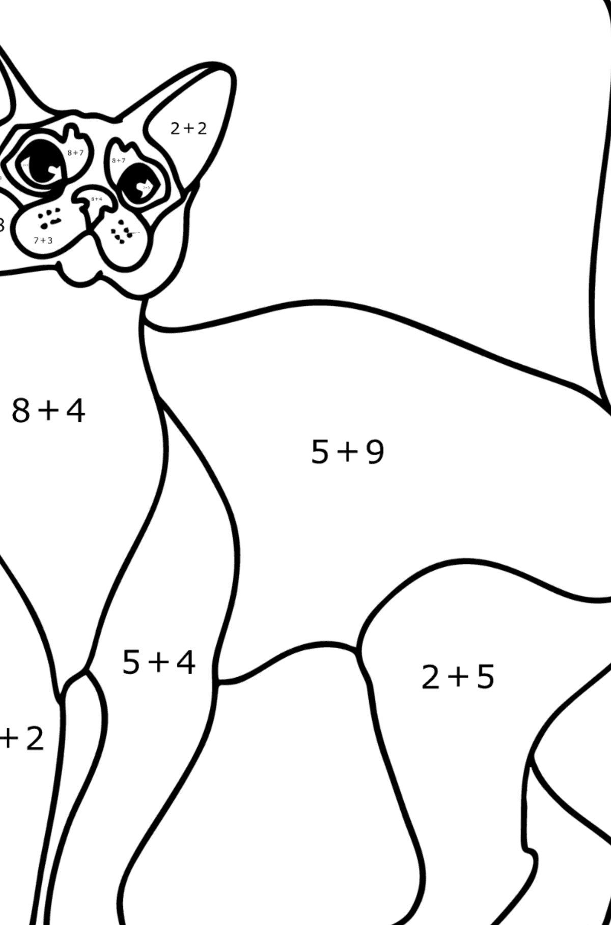 Tegning til fargelegging Abessinisk katt - Matematisk fargeleggingsside - addisjon for barn