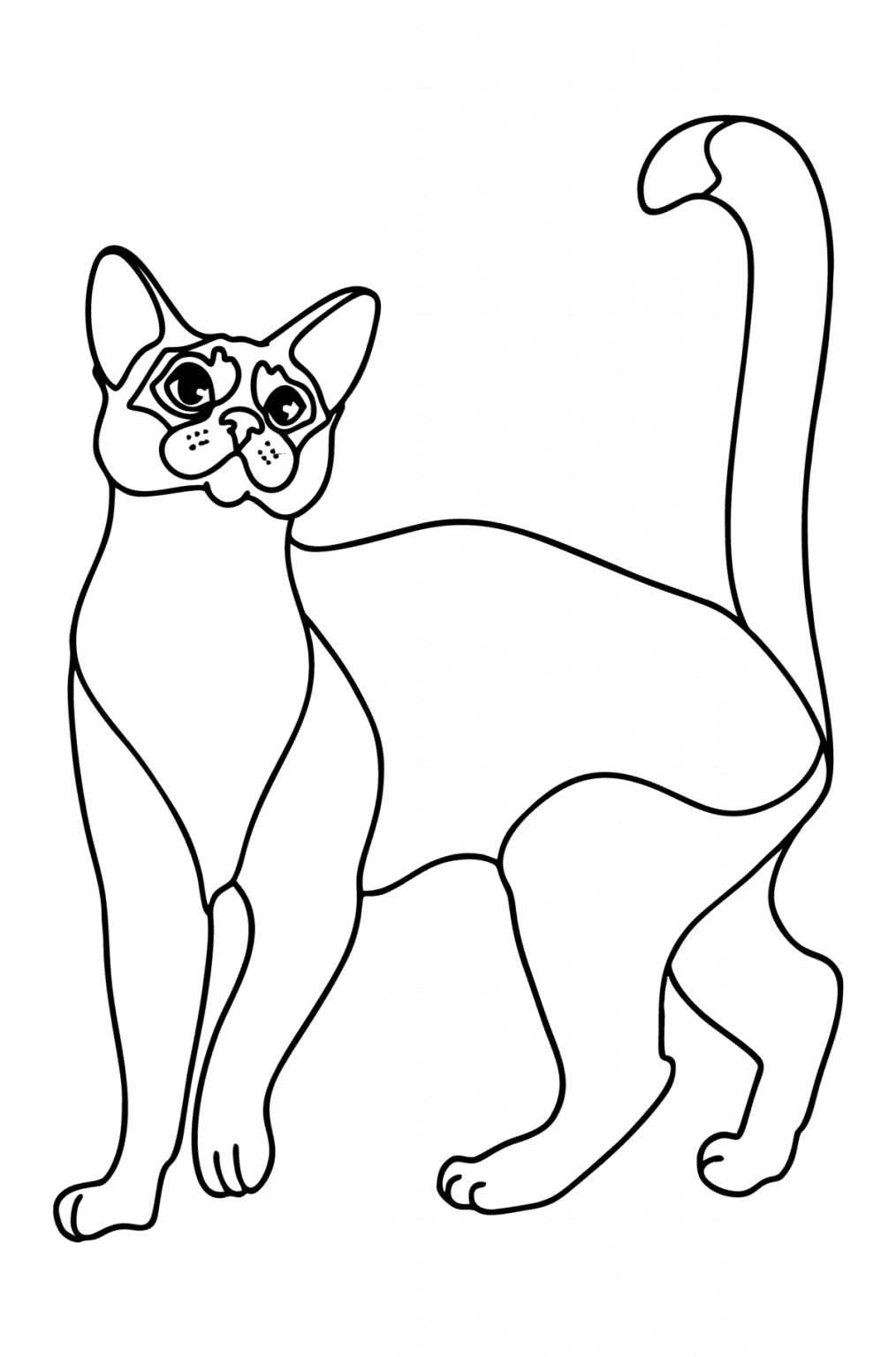 Abyssinian Cat coloring page ♥ Online and Print for Free!