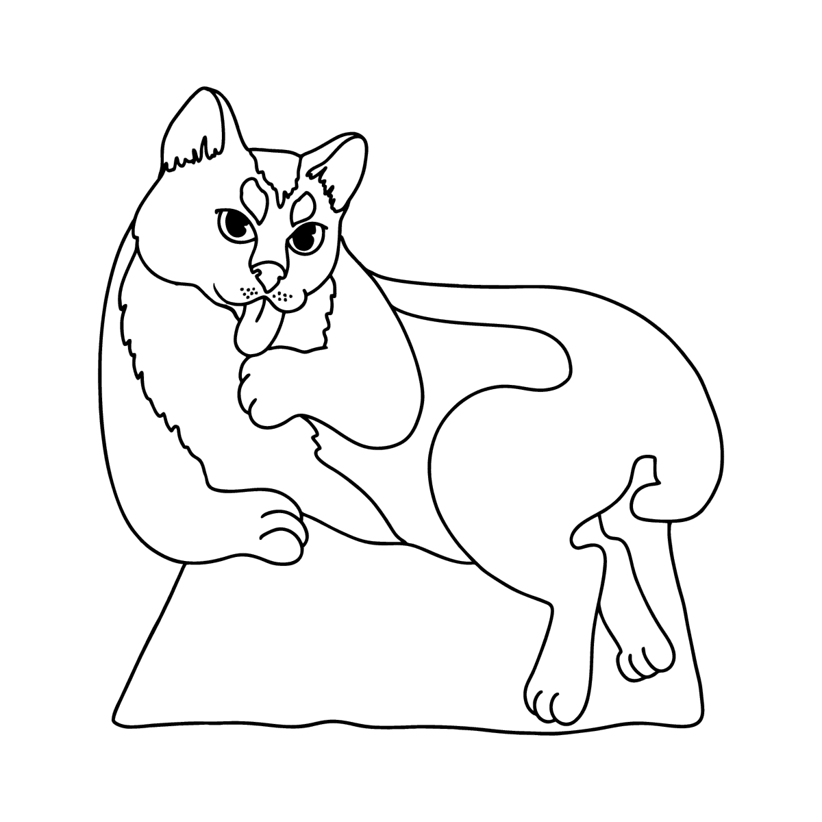 Desenhos para colorir de desenho de um gato preto para colorir  