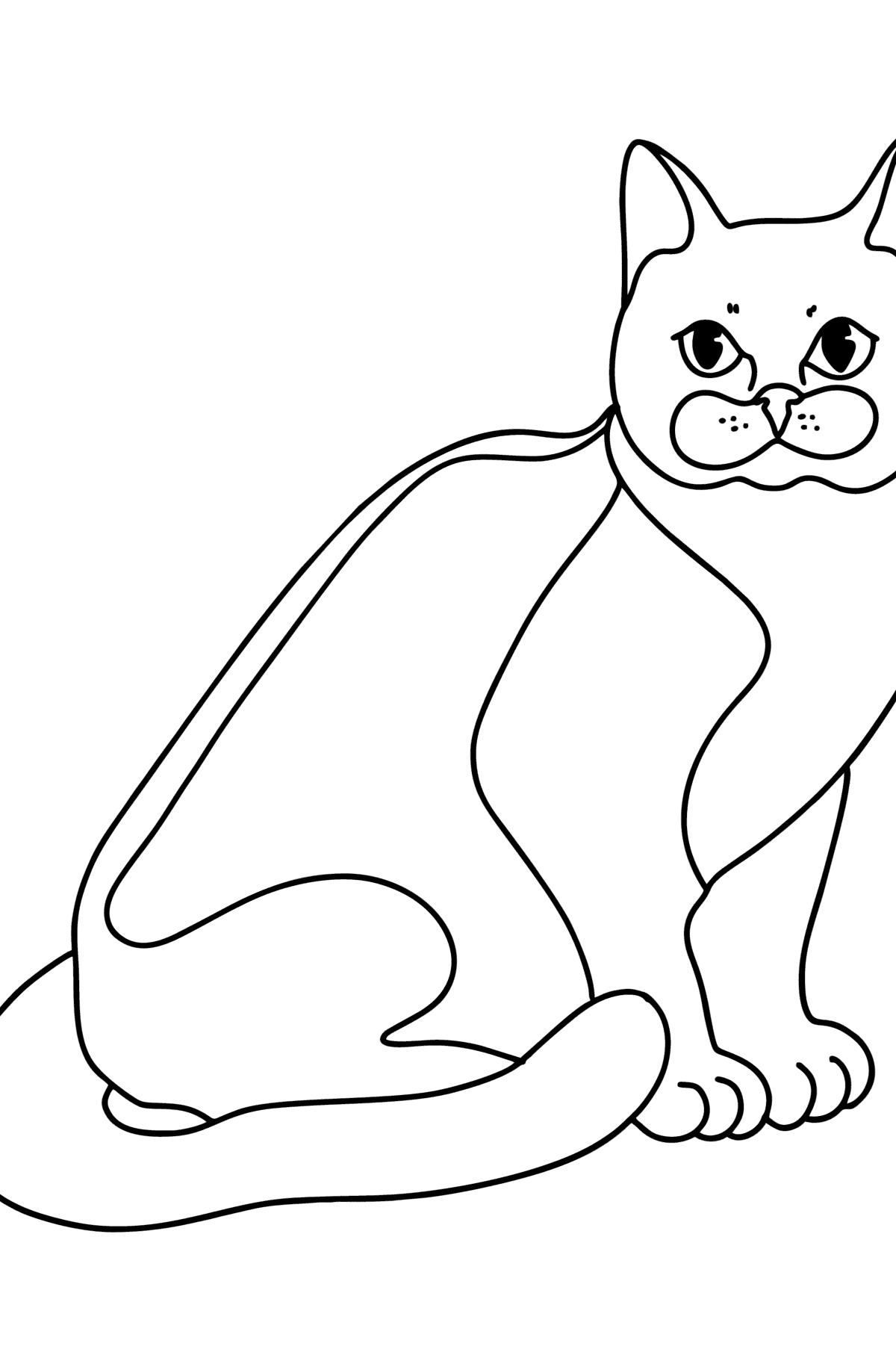 Tegning til fargelegging bombay katt - Tegninger til fargelegging for barn
