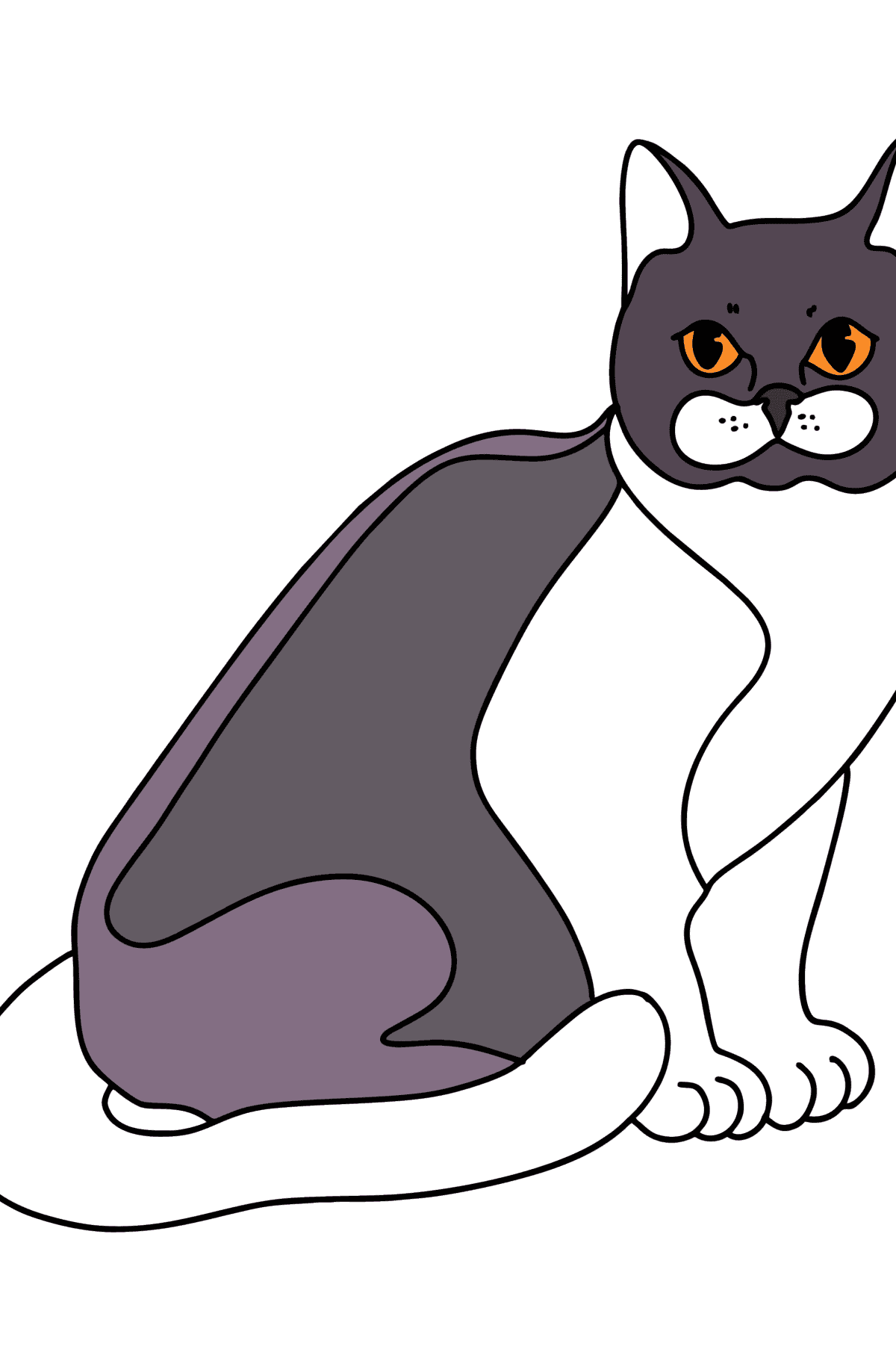 Розмальовка Бомбейська кішка - Розмальовки для дітей