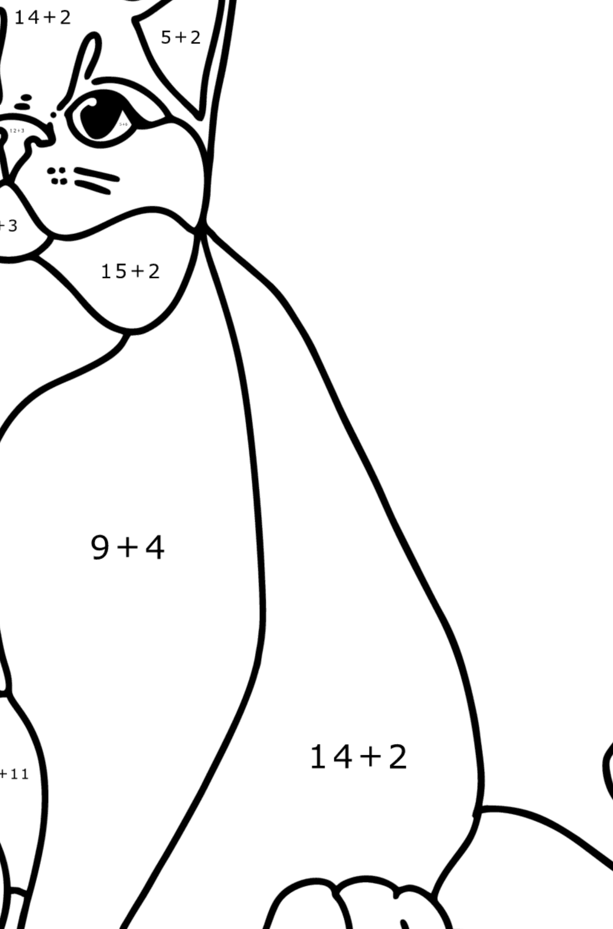 Ausmalbild Britische Katze - Mathe Ausmalbilder - Addition für Kinder