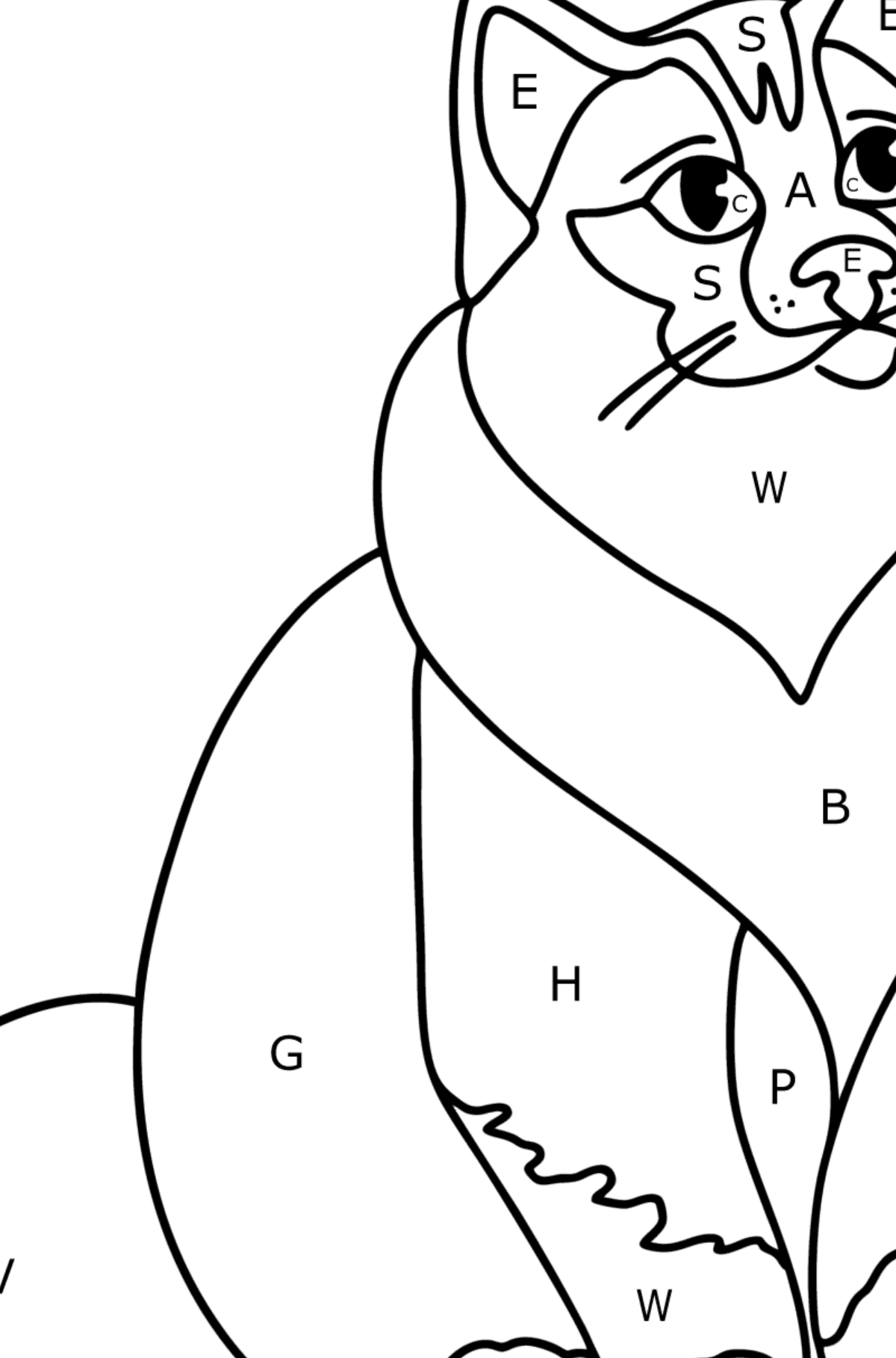 Burmese Cat coloring page - Coloring by Letters for Kids