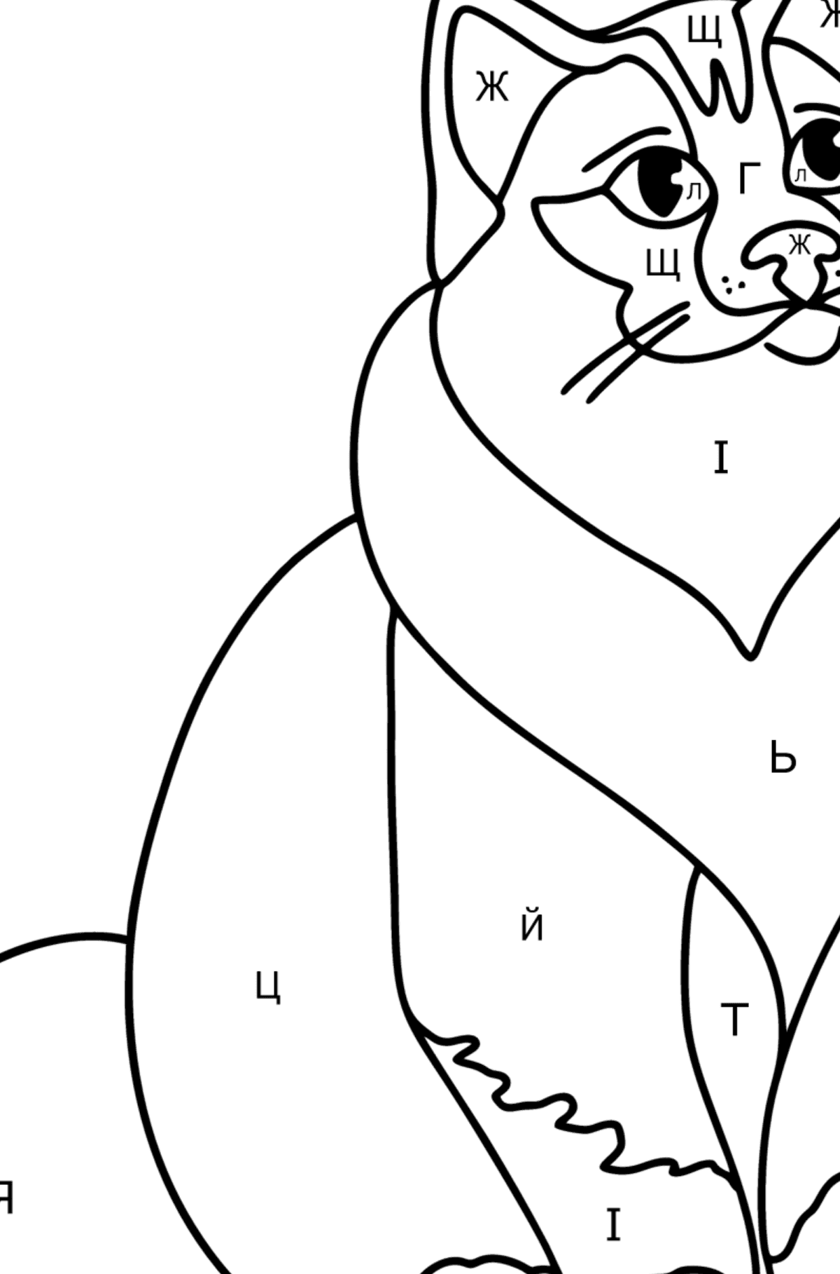 Розмальовка Бірманська кішка - Розмальовки за літерами для дітей
