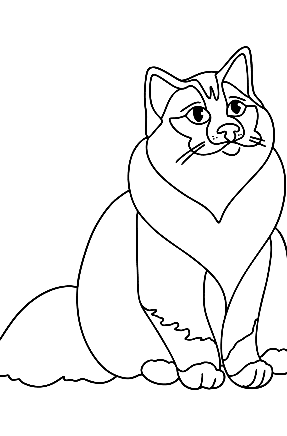 Tegning til farvning burmesisk kat - Tegninger til farvelægning for børn