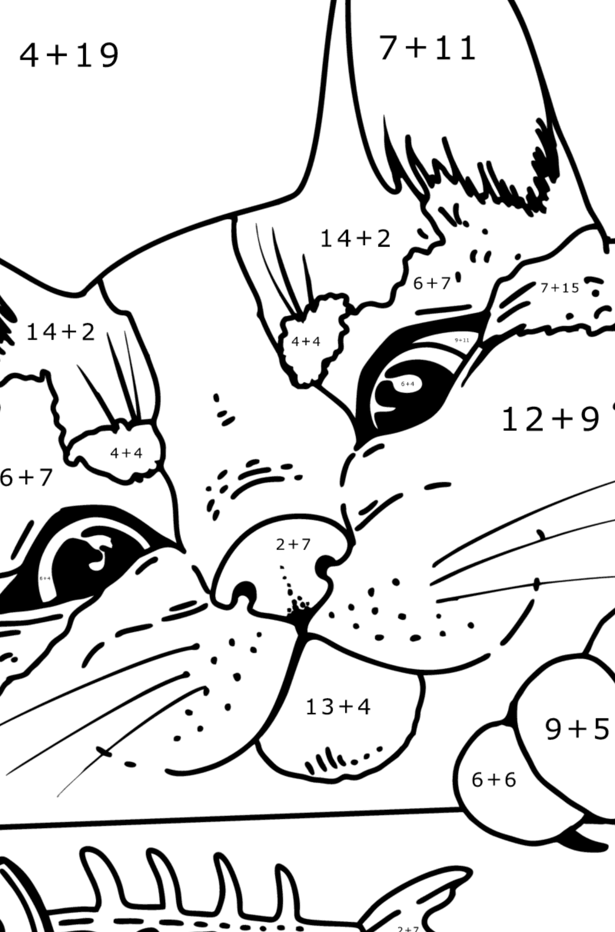 Cat Head coloring page - Math Coloring - Addition for Kids