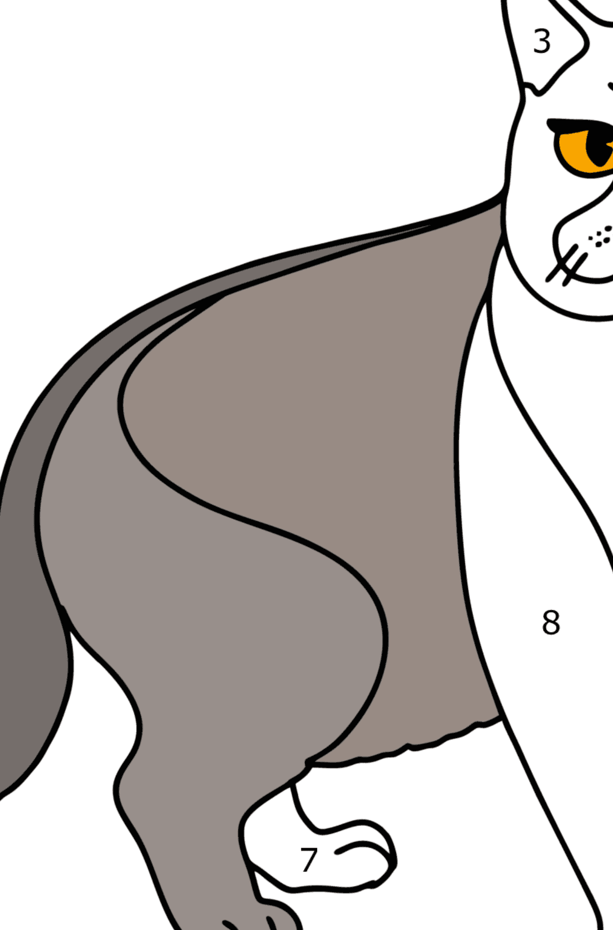 Ausmalbild Chartreuse-Katze - Malen nach Zahlen für Kinder