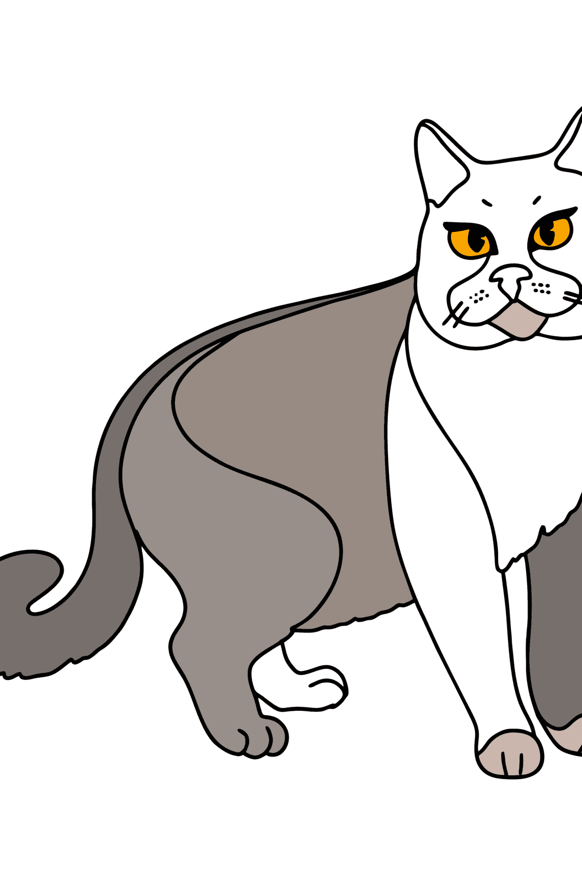 Tegning til farvning chartreuse kat - Tegninger til farvelægning for børn