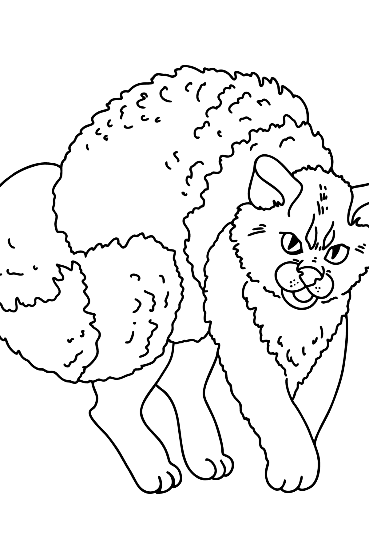 Desen de colorat pisica morocanoasa - Desene de colorat pentru copii